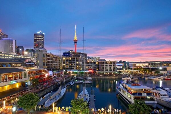 Auckland City Sightseeing Scenic Tours (Small Groups)