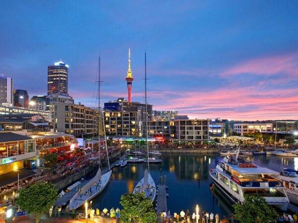 Auckland City Sightseeing Scenic Tours (Small Groups)