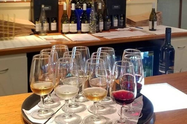 Muriwai Scenic Wine Tour from Auckland