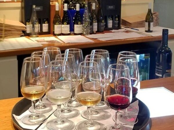 Muriwai Scenic Wine Tour from Auckland