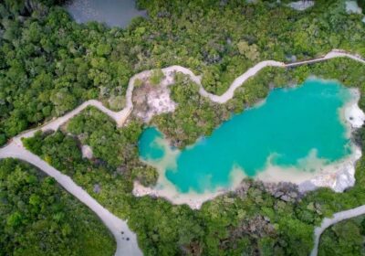 Driving in New Zealand – Complete Visitor Guide