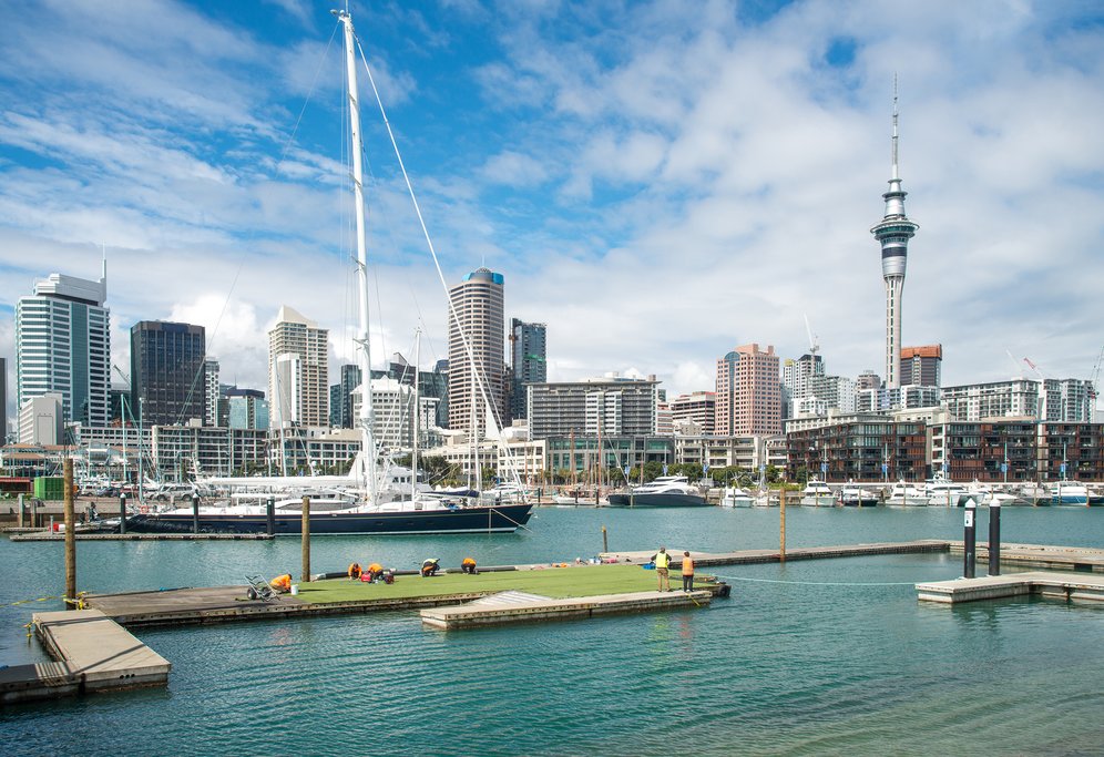 Auckland City Highlights Half-Day Tour