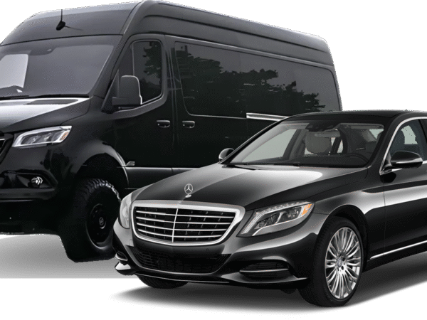 Auckland to Paihia One-Way Private Transfer | Mercedes Luxury – Up to 11 Pax