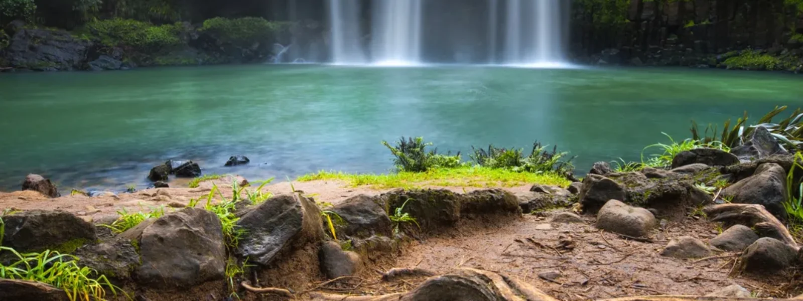 Auckland to Whangārei Falls & Tutukaka Coast Tours