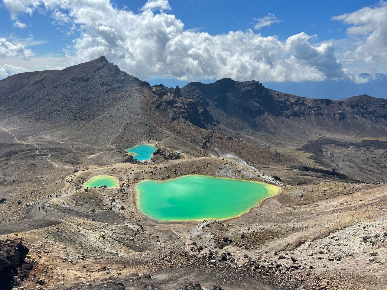 Auckland to Tongariro National Park Tours