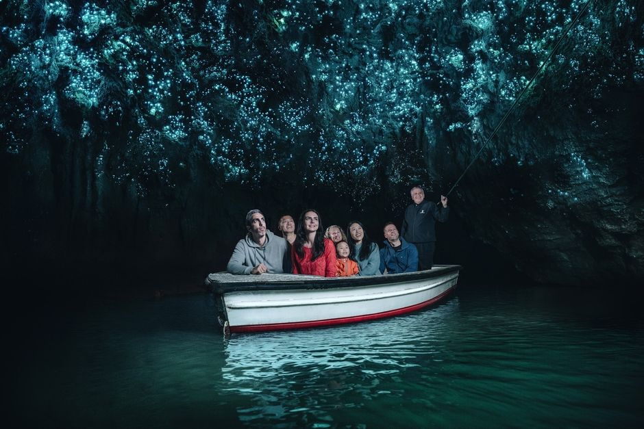Auckland to Waitomo Glowworm Caves Tours
