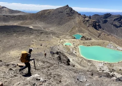 North Island vs South Island – Which Is Better for Your New Zealand Trip?