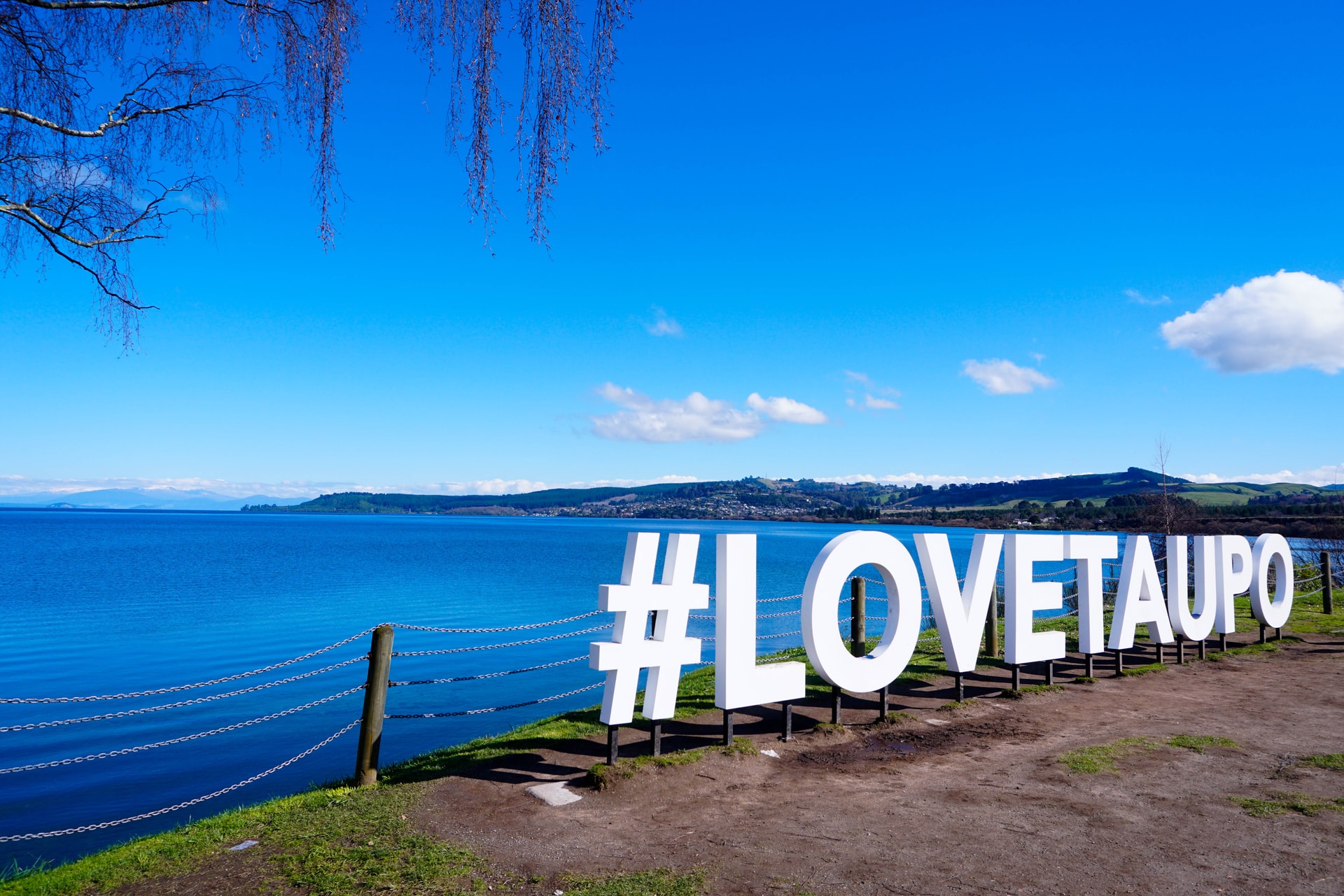 Auckland to Taupō Day Trips