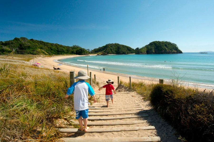 Whangārei Falls & Tutukaka Coast Tours
