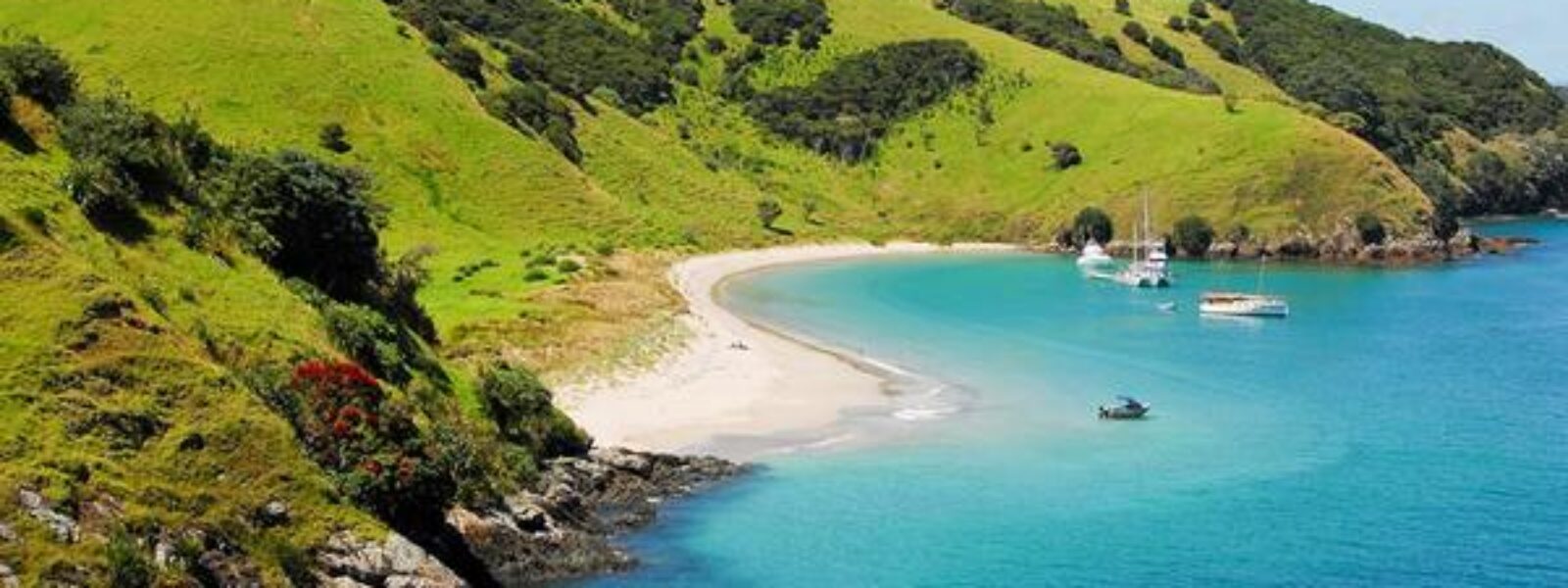 Auckland to Bay of Islands Tours