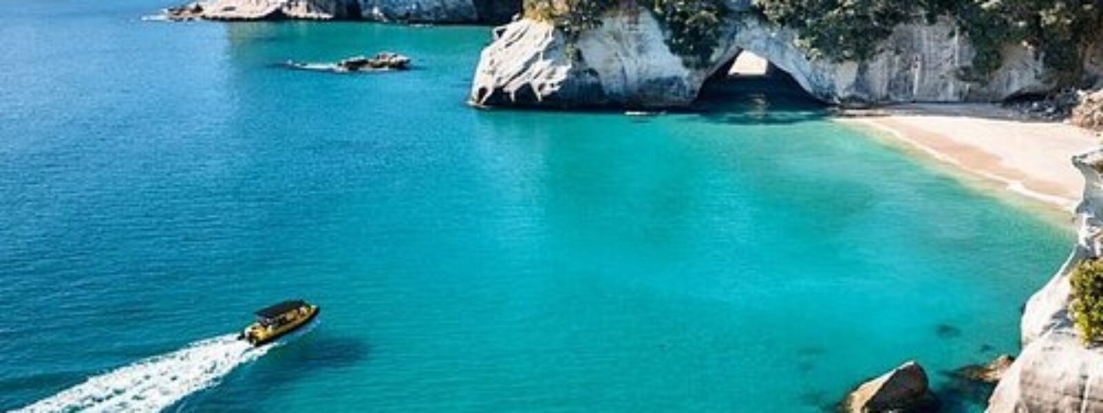 Auckland to Coromandel Peninsula Tours