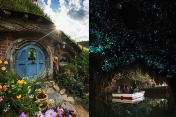 Hobbiton & Waitomo Glowworm Caves Guided Day Trip from Auckland (with Lunch)