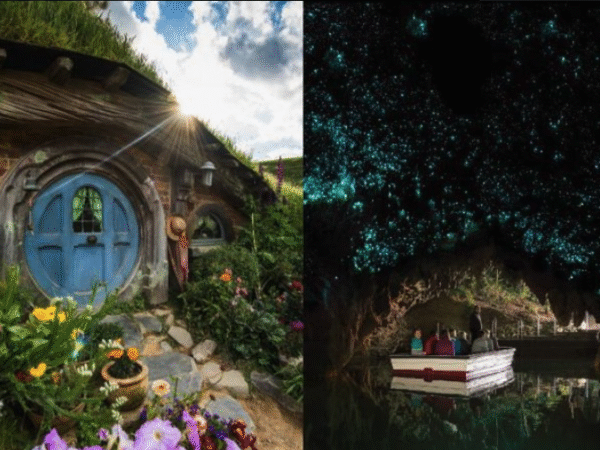Hobbiton & Waitomo Glowworm Caves Guided Day Trip from Auckland (with Lunch)