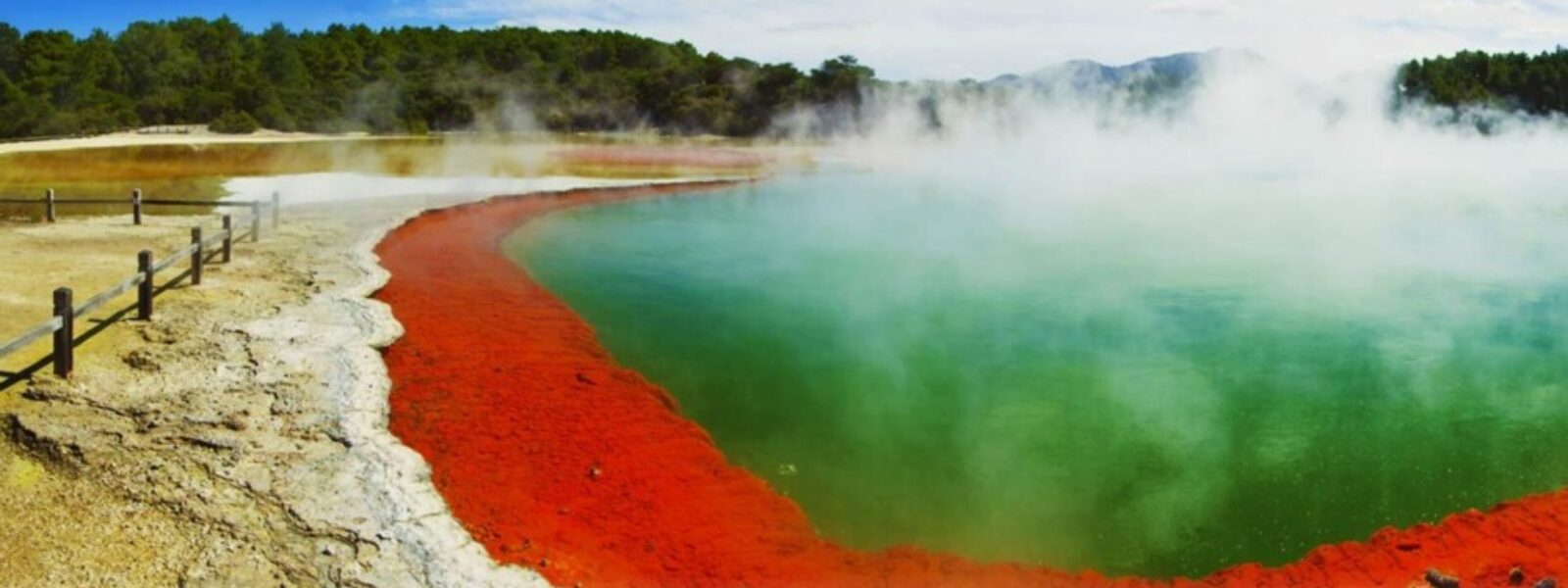 Auckland to Rotorua Tours