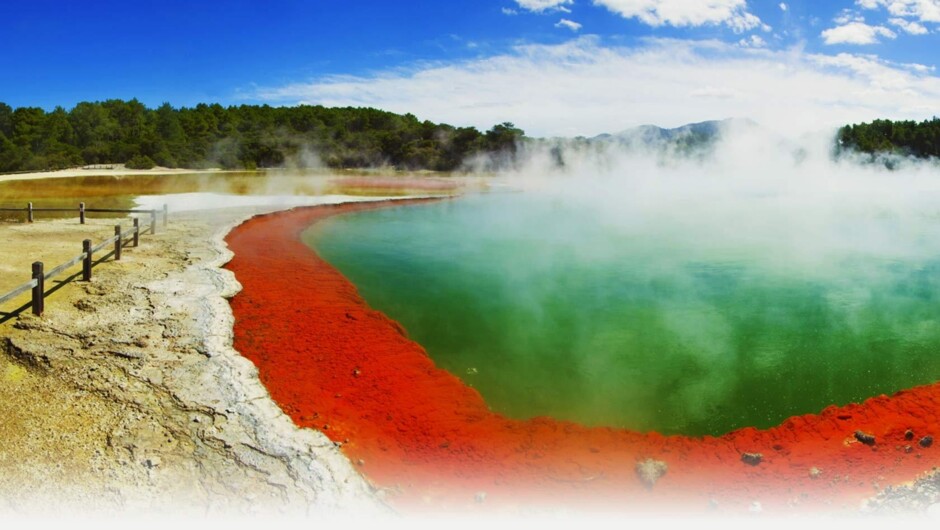 Auckland to Rotorua Tours