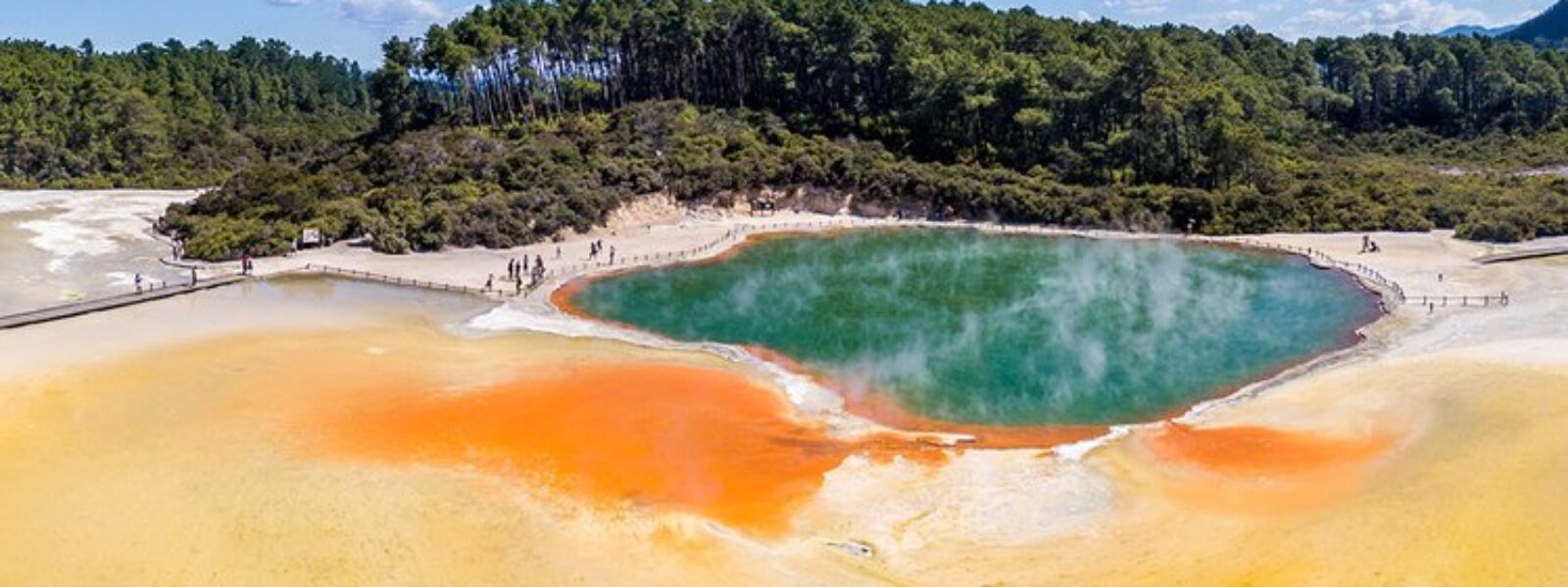 Auckland to Rotorua & Hobbiton Combo Tours