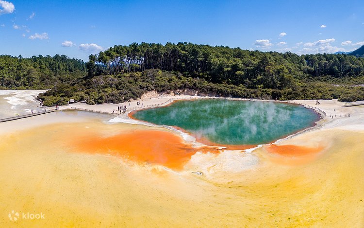 Auckland to Rotorua & Hobbiton Combo Tours