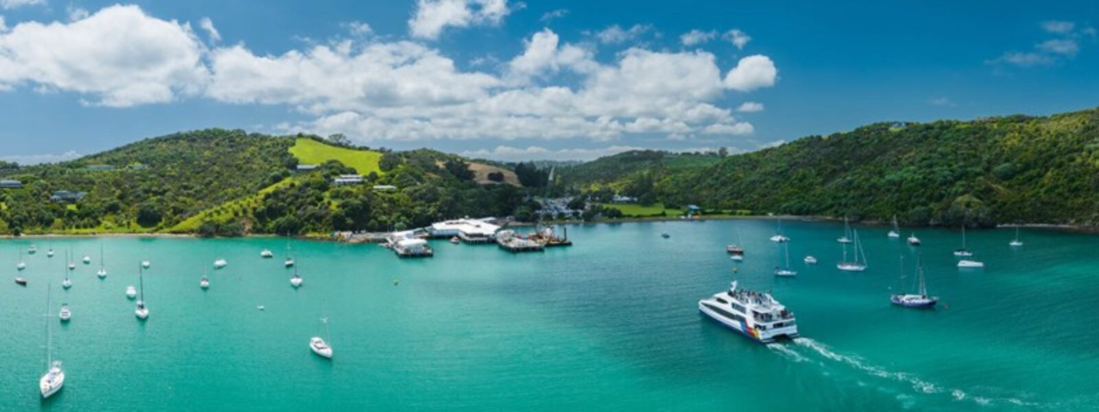 Auckland to Waiheke Island Wine Tours
