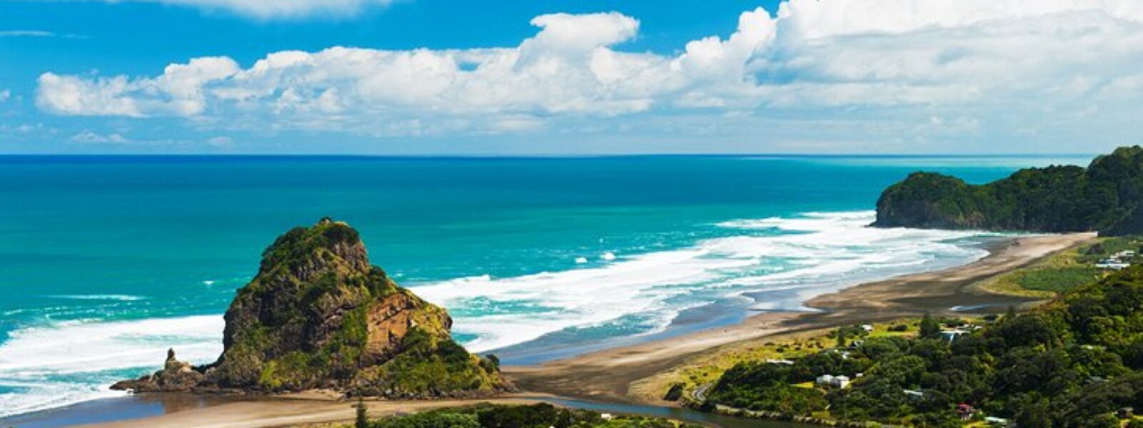 Auckland to Piha & West Coast Beaches Tours